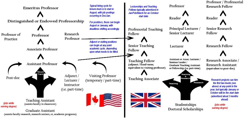 Academic Career Terminology Comparison